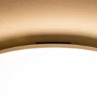 照明